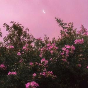 Miami at 7AM(feat. Adrian) (Addy Yuhh Version)