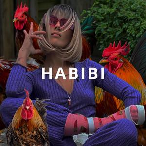 HABIBI