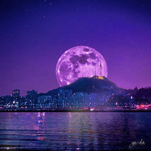 같은 밤하늘 (Feat. 윤다영) (Under the starry night sky) (同一片夜空)