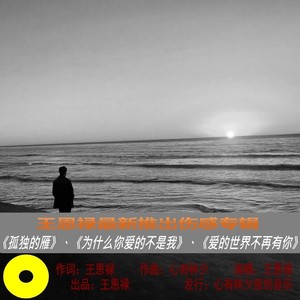 为什么你爱的不是我
