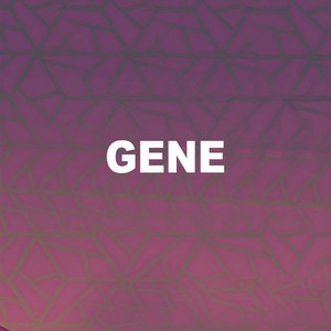 回炉重造之gene