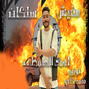 مفيش سلكان