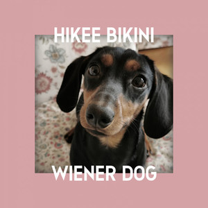 Wiener Dog