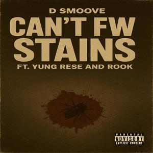 Can't Fw Stains (Explicit)