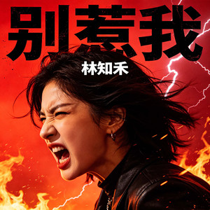 别惹我（听清楚了吗）封面