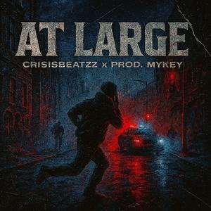 At Large