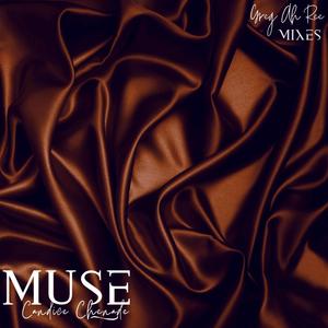 Muse (The Mixes)