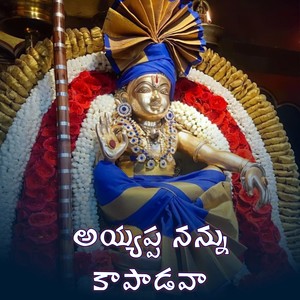 Ayyappa Nannu Kapadava