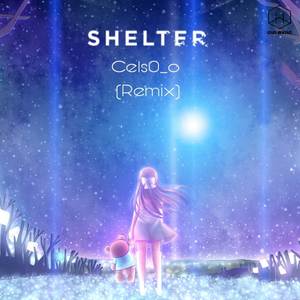 Shelter (Remix)