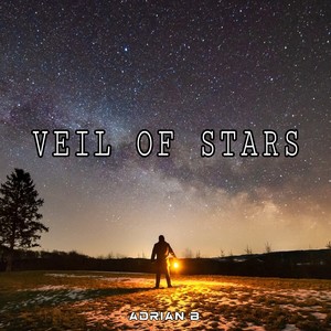 Veil Of Stars (Radio Edit)