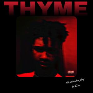 Far Gone (feat. Stein Lee) (Explicit)