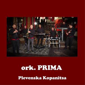 Plevenska kopanitsa