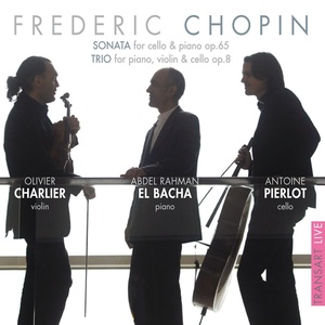 Trio, in G Minor, for Piano, Violin and Cello, Op. 8 - Allegro con fuoco