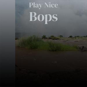 Play Nice Bops