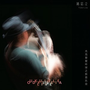 二泉映月 (Live)封面