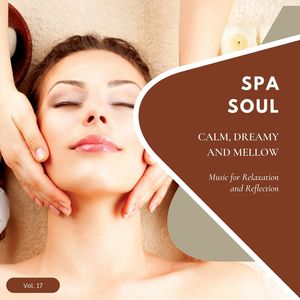 Spa Soul - Calm, Dreamy And Mellow Music For Relaxation And Reflextion, Vol. 17