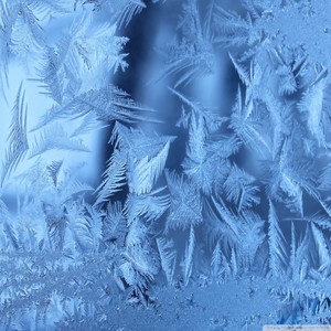 Frostbite (Original Mix)