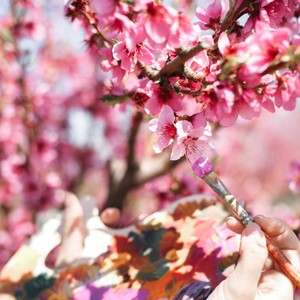 Pelabuhan Tanjung Mas