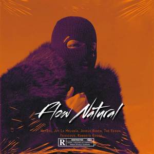 Flow Natural (Explicit)