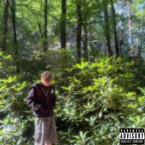 Something (feat. soldimine & izar) (Explicit)