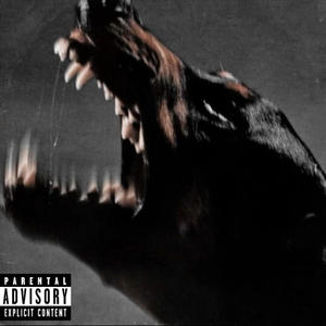 Dogs Bark In The Night Time - EP (Explicit)