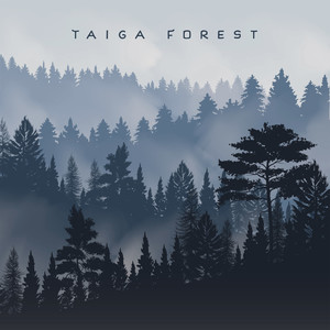 Taiga Forest: Relaxing Nature, Gentle Ambient Melodies, Sounds of the Forest, Chirping of Birds, Water Noise