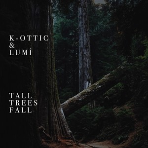 Tall Trees Fall (feat. Lumí)