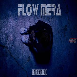 FLOW MERA (Explicit)