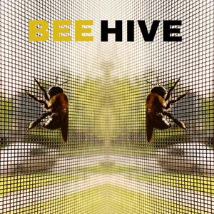 Beehive