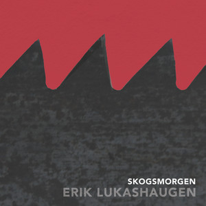 Erik Lukashaugen - Skogsmorgen