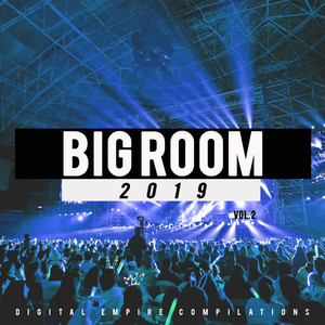 Big Room 2019, Vol.2 (Explicit)