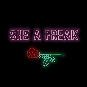 She A Freak (Explicit)