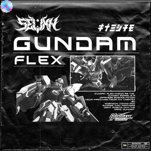 GUNDAM FLEX