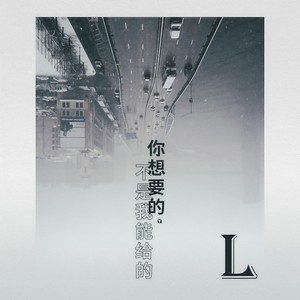你想要的不是我能给的 (伴奏) - L（桃籽）封面