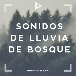 Está lloviendo
