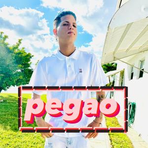 PEGAO
