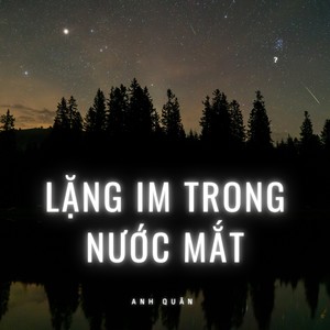 Lặng Im Trong Nước Mắt