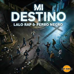 Mi Destino (feat. Perro Negro & Gato Beat)