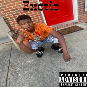 Exotic (Explicit)