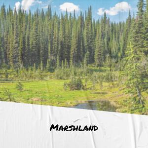 Marshland