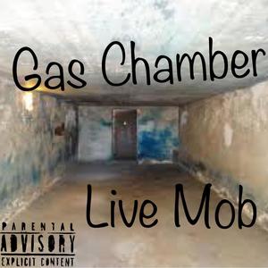 Gas Chamber