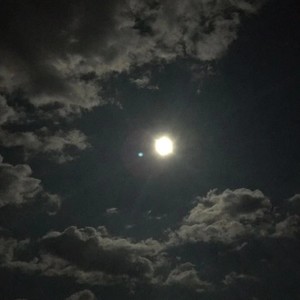 星光 (Demo)