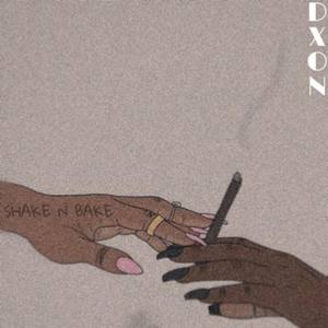Shake n Bake