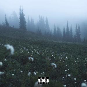 Meadows (Explicit)