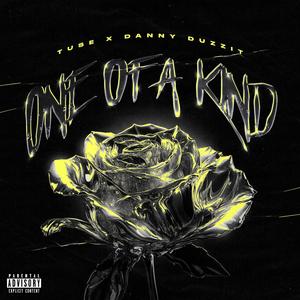 One of a kind (feat. Danny duzzit) (Explicit)