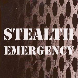 Stealth Emergency (The Best House of Another Dimension)