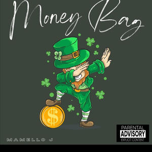 Money Bag