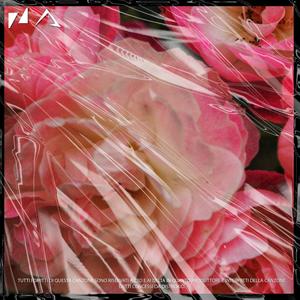 Fiori di rose(feat. DELTA)