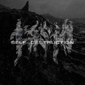Self Destruction