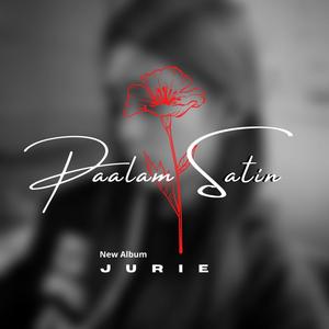 Paalam Satin